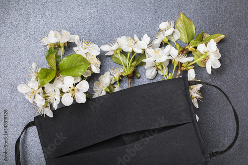 A flowering branch of cherry is covered with a medical mask, top view