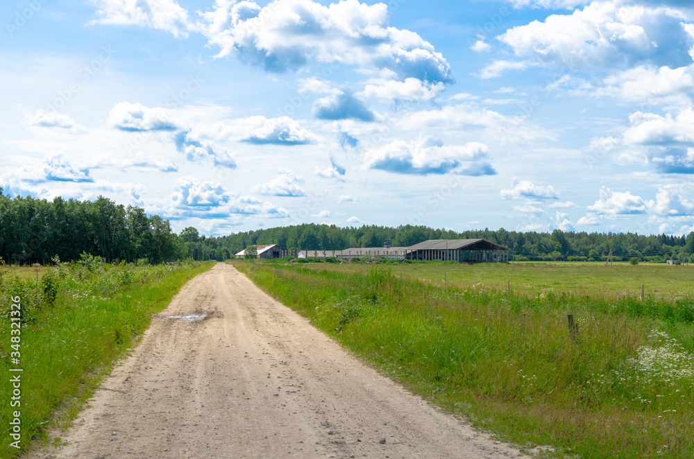 A countryside  road and agricultural field in summer. Photo taken in Turi in Jarvamaa, Estonia