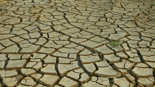 Drought cracked pond wetland, swamp very drying up the soil crust earth climate change, environmental disaster and earth cracks very, death for plants and animals, soil dry degradation photo