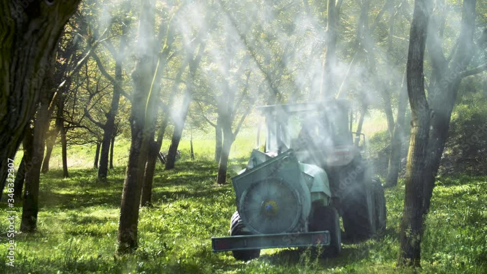 Un tracteur pratique l'épandage de pesticides matérialisant la lumiere diffusé a travers les branche de noyer en dans la région  rhône-alpes.