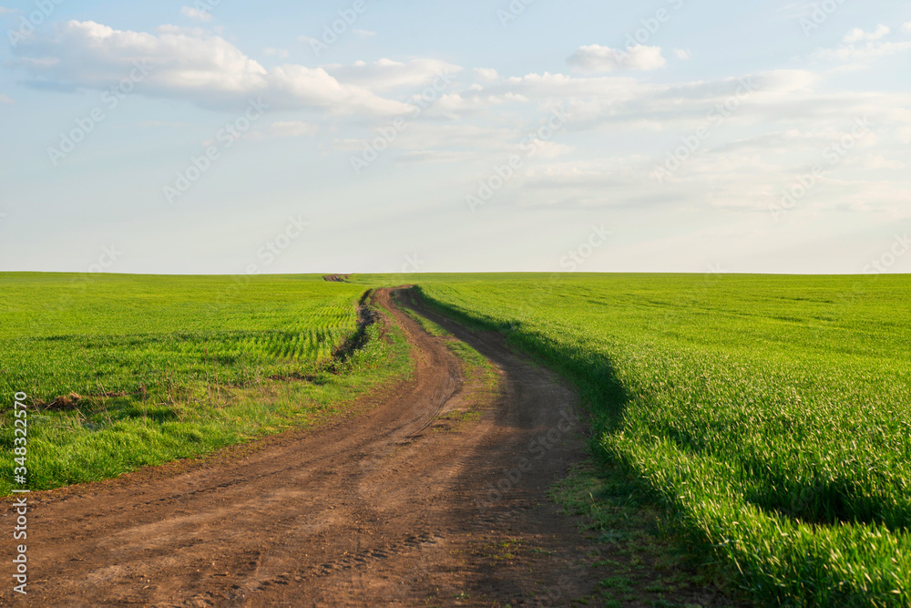 Summer landscape with green grass, roads and clouds. Rural roads. Sunset over a dirt road Summer landscape with green grass, roads and clouds. Rural roads. Sunset over a dirt road