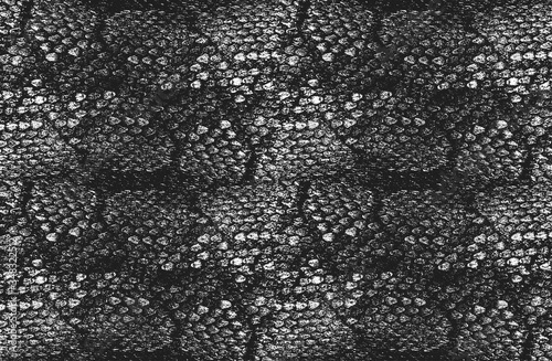 Distressed overlay texture of crocodile or snake skin leather, grunge background.