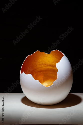 Element of decoration of luxurious interior in the form of dragon egg with natural gold