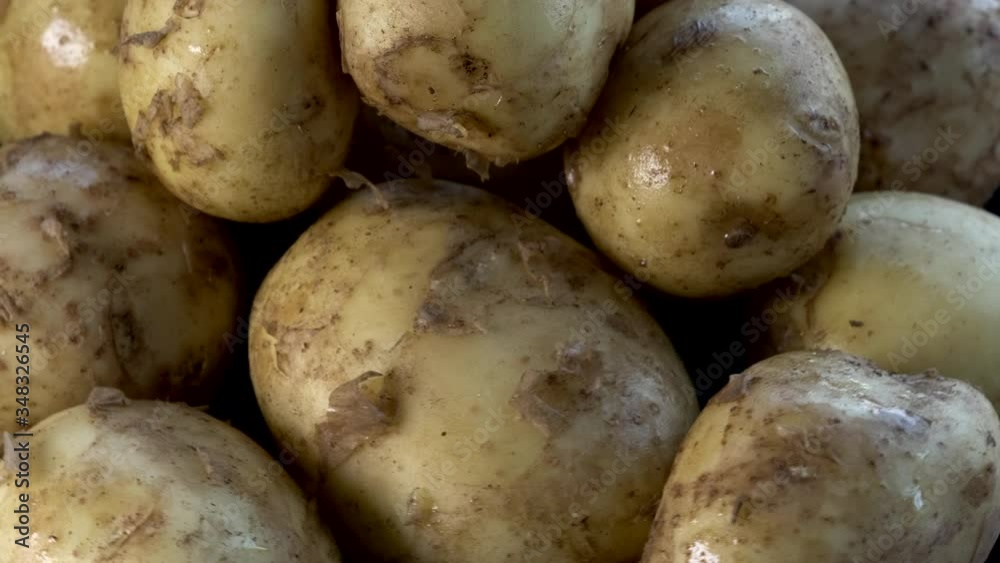 Raw potatoes pile. Rotating on the turntable. Organic foods for a healthy diet.