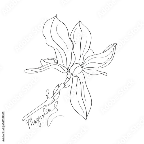 Magnolia line art, Aromatherapy inspiration