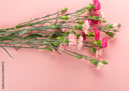 Fresh Carnation Flower Bouquet Dianthus or Schabaud photo