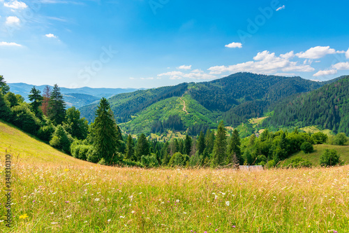 countryside fields and meadows on hills in summer. idyllic mountain landscape on a sunny day. scenery rolling in to the distant ridge. wonderful weather with fluffy clouds on a blue sky