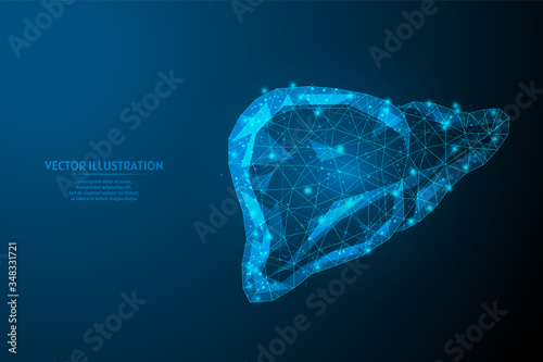 Human liver close-up. Organ anatomy. Diagnosis of the disease cirrhosis, cancer, intoxication, hepatitis. Innovative medicine and technology. 3d low poly wireframe vector illustration.