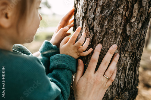 Close-up of hands of a little girl and a woman, touching a tree in a forest. Concept of caring and saving nature. photo
