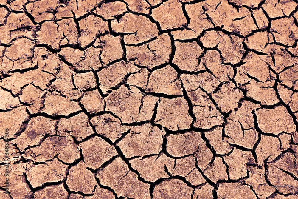 Dry earth with large cracks. Texture surface. The concept of drought. Dry earth with large cracks. Texture surface. The concept of drought.