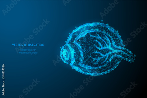 Human eyeball close up. Anatomy of the eye organ. Cornea, veins, muscles. The concept of vision, vision, health. Innovative medicine and technology. 3d low poly wireframe vector illustration.