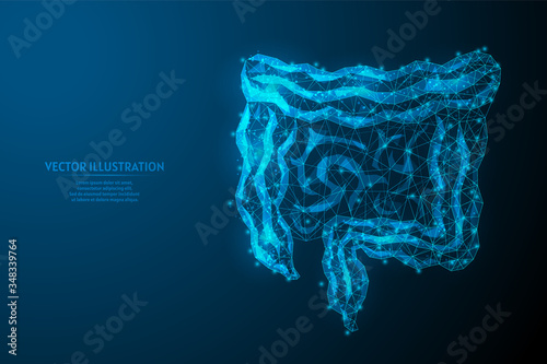 Human intestines close up. Internal organs. Anatomy of the internal organ. Digestive and gastric tract. Innovative medicine and technology. 3d low poly wireframe vector illustration. photo