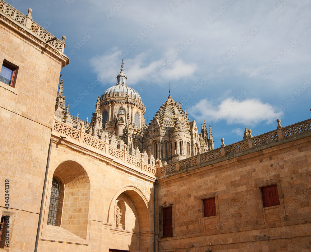 A detail of the Salamanca Cathedral façade, sunny da in Salamanca, sun is falling