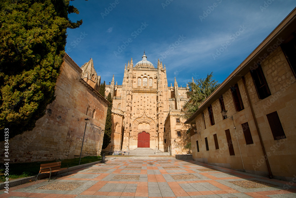 One of the sides  of the New Cathedral, gotic style, of Salamaca (Spain) on a sunny day.