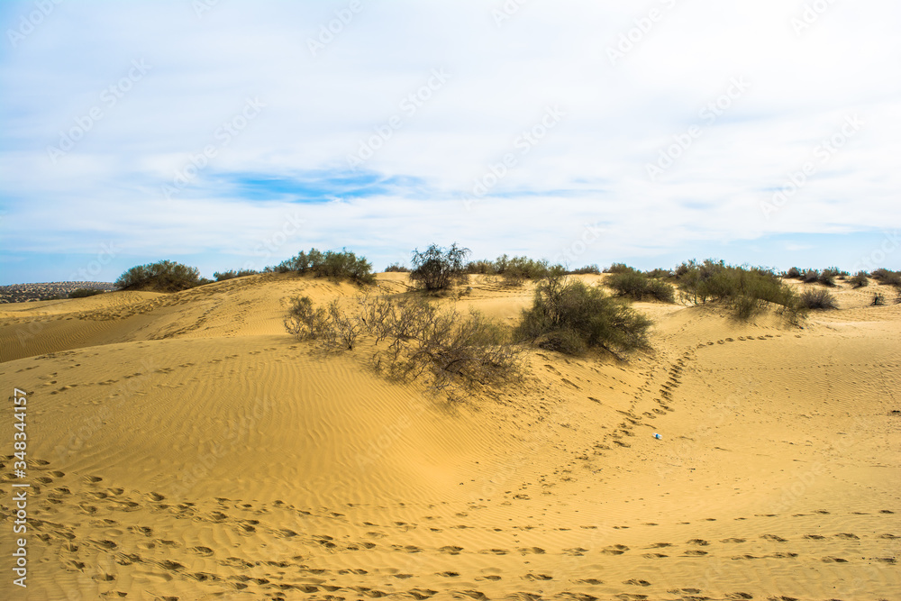 desert of Jaisalmer the golden city, an ideal allure for travel enthusiasts, Sam Sand Dunes
desert of Jaisalmer the golden city, an ideal allure for travel enthusiasts, Sam Sand Dunes