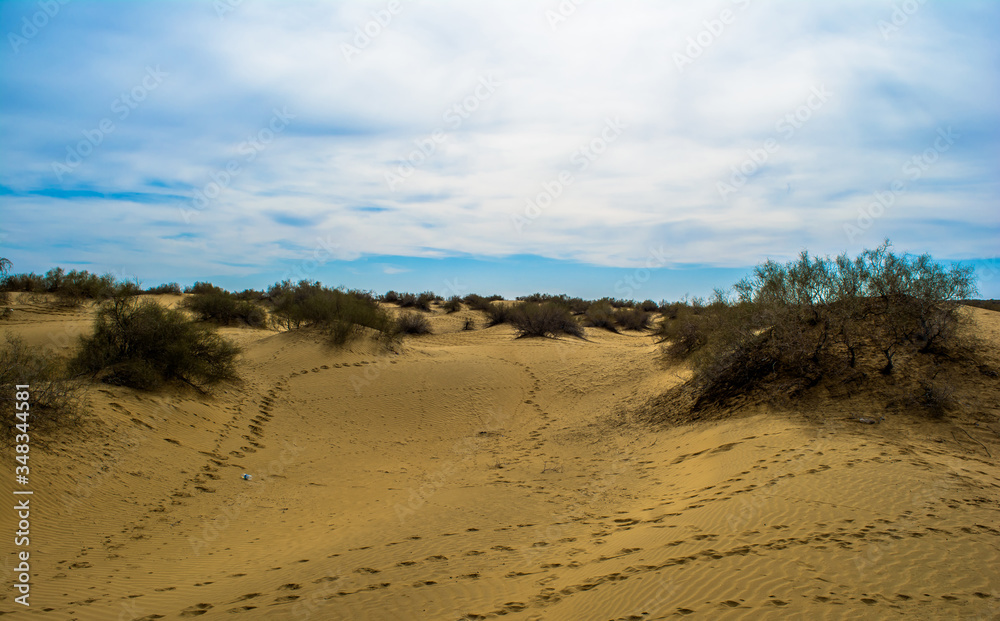 desert of Jaisalmer the golden city, an ideal allure for travel enthusiasts, Sam Sand Dunes
desert of Jaisalmer the golden city, an ideal allure for travel enthusiasts, Sam Sand Dunes