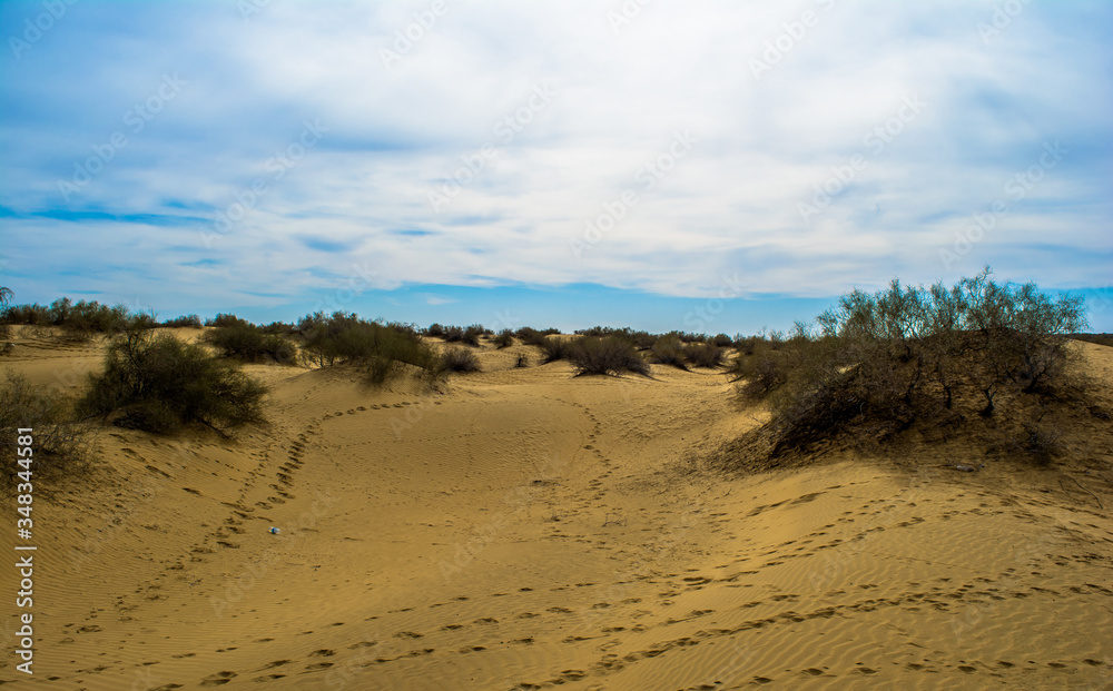 desert of  Jaisalmer the golden city, an ideal allure for travel enthusiasts, Sam Sand Dunes
