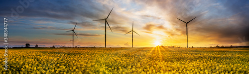 Windkraftanlagen in gelben Rapsfeld zum Sonnenuntergand photo