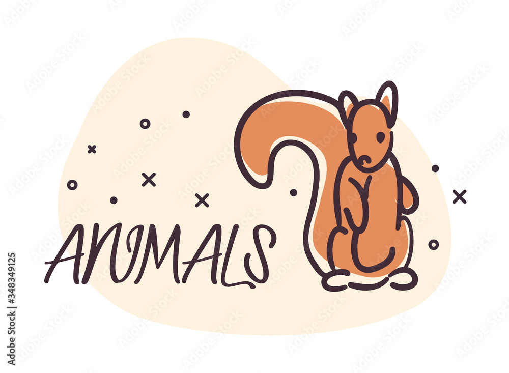 squirrel cartoon animal vector design squirrel cartoon animal vector design