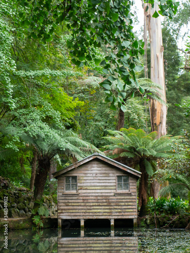 Small hut on lake in forest