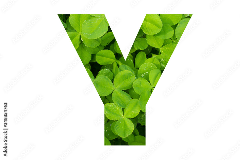 Green Clover Capital Y in Poppins Font on White Background Green Clover Capital Y in Poppins Font on White Background