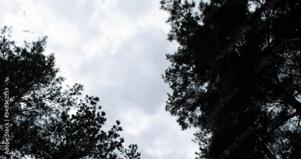 Clouds run timelapse. Trees in the foreground, forest, sky, clouds, blue, white, the sun breaks through, pines, the sky moves.
Clouds run timelapse. Trees in the foreground, forest, sky, clouds, blue, white, the sun breaks through, pines, the sky moves.