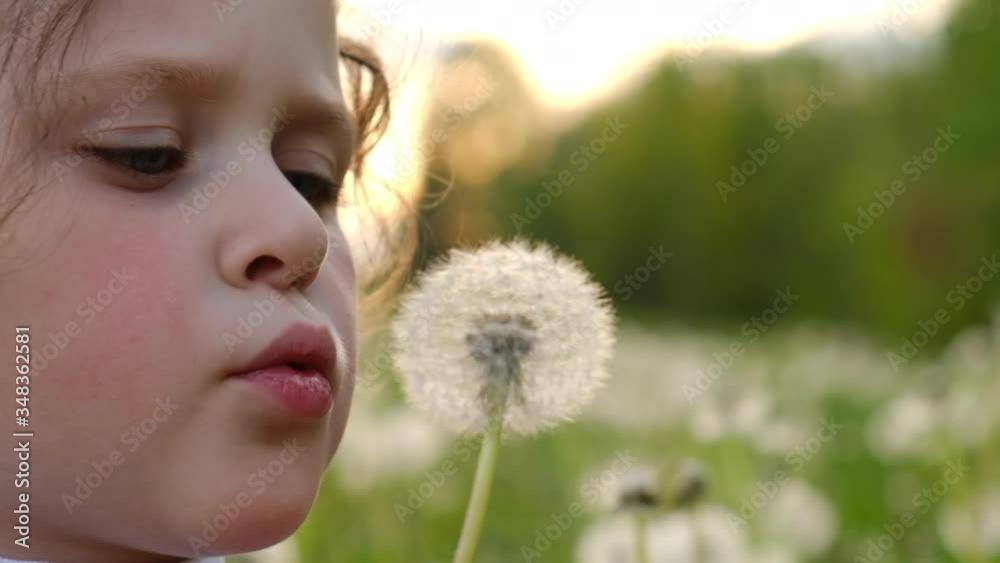 Close up portrait of beautiful little girl child blowing on dandelion in park during a beautiful sunset. Happy cute preschool kid enjoy and explore nature in summer park. Slow motion. Selective focus Close up portrait of beautiful little girl child blowing on dandelion in park during a beautiful sunset. Happy cute preschool kid enjoy and explore nature in summer park. Slow motion. Selective focus