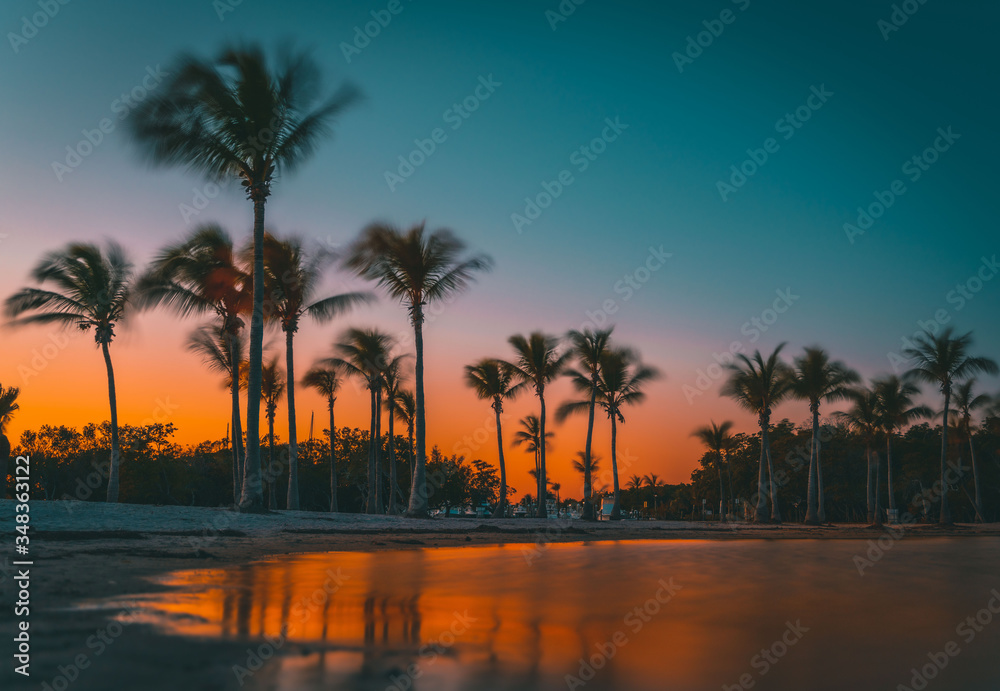 summer vacation palm trees beach water sunset silhouette tropical prints sea sun landscape nature sunrise blue orange eden paradise coconut tree