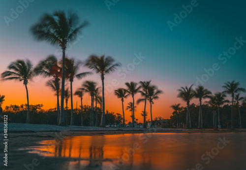 summer vacation palm trees beach water sunset silhouette tropical prints sea sun landscape nature sunrise blue orange eden paradise coconut tree