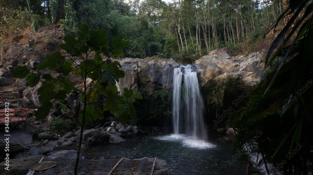 Obraz premium waterfall in the woods
