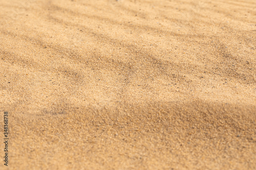 Fine beach sand in the summer sun. Sand beach texture. Top view. Selective focus.