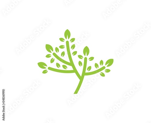 Tree logo
