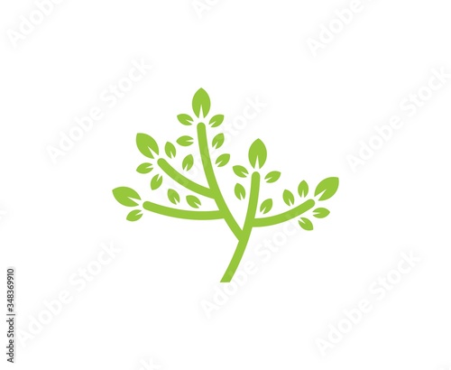 Tree logo 