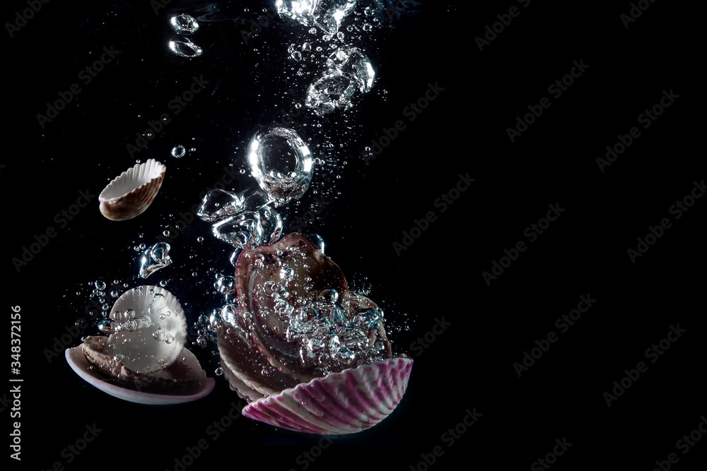 seashells falling into the water and splashing seashells falling into the water and splashing