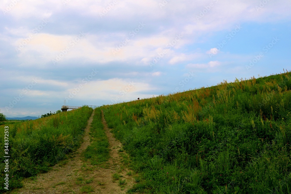 Naklejka premium 道 河川敷 渡良瀬 風景 杤木