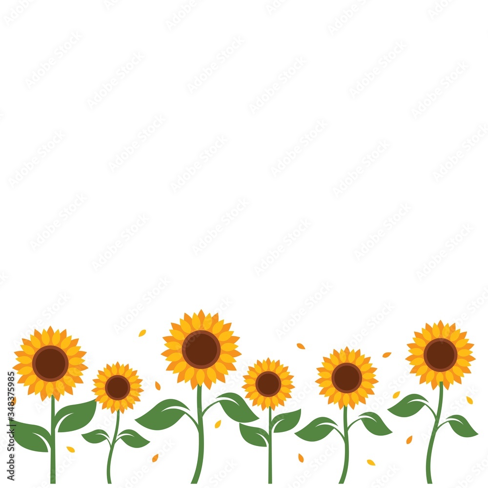 Sunflower background Sunflower background