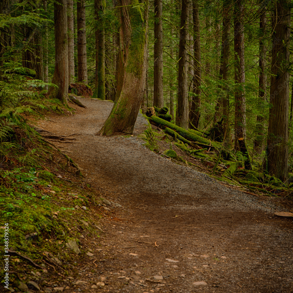 Fragment of Long Lake trail in Nanaimo, Vancouver, Canada.