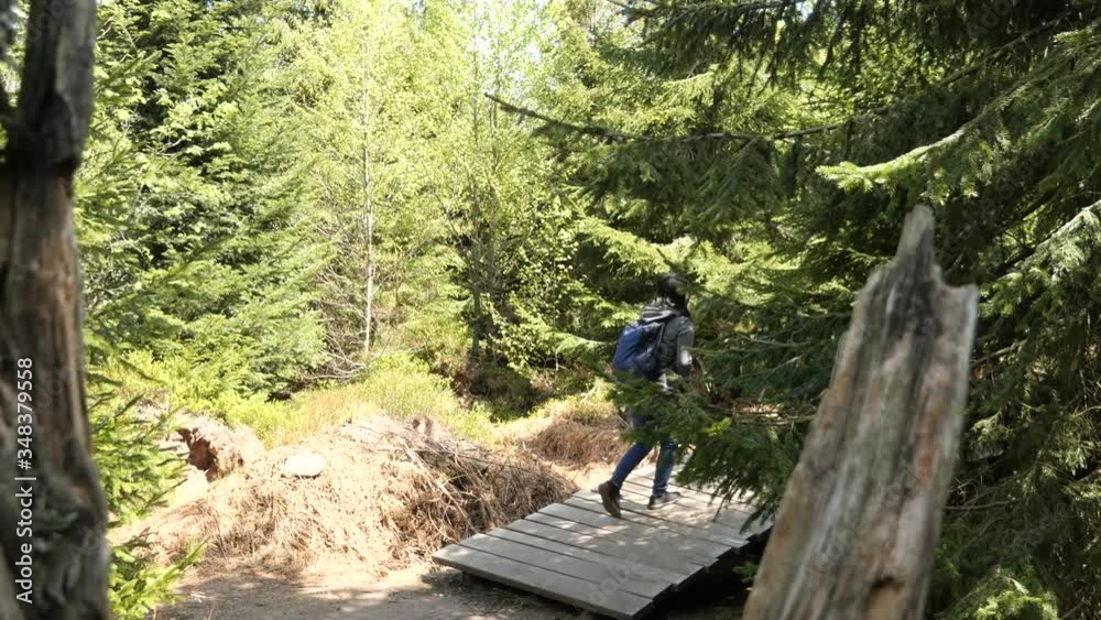 Woman walking on the Adventure Trail Lothar Path in the Black Forest Woman walking on the Adventure Trail Lothar Path in the Black Forest