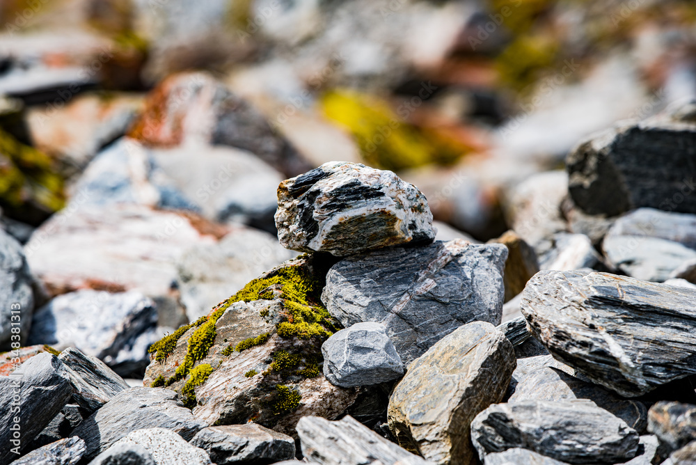 rocks in the forest