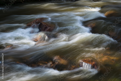 An intimate detail of a Wisconsin stream swollen by spring rains.