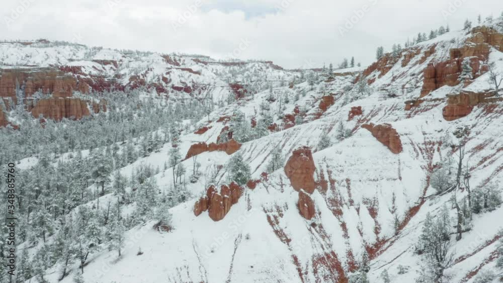 Aerial: Alpine pine trees covered in snow on a red mountain range. Red Canyon, Utah, USA Aerial: Alpine pine trees covered in snow on a red mountain range. Red Canyon, Utah, USA