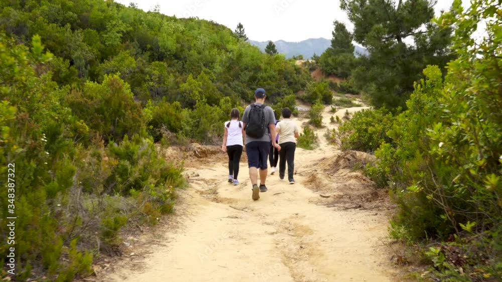 Children walking on a footpath through lush vegetation of mountain forest, group of young people hiking Children walking on a footpath through lush vegetation of mountain forest, group of young people hiking
