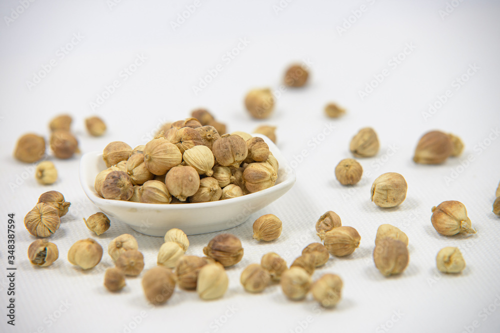 Best cardamom, Siam Cardamom or Kapulaga on white canvas background. Camphor dried seeds. Dried Herb Spice Best cardamom, Siam Cardamom or Kapulaga on white canvas background. Camphor dried seeds. Dried Herb Spice