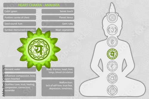 Chakras symbols with description of meanings infographic