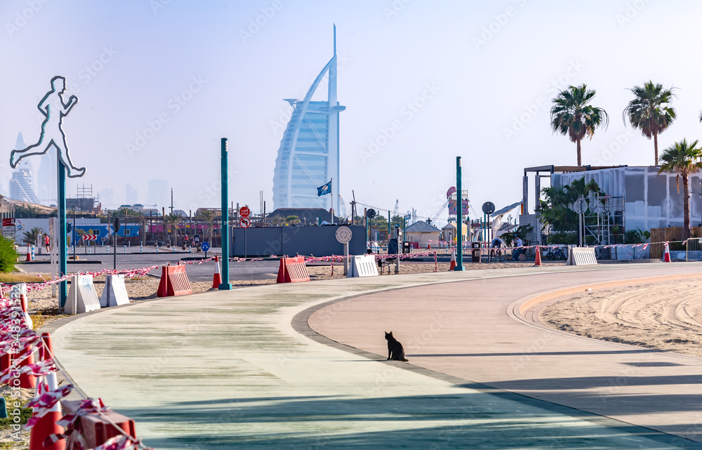 Black cat on a closed for visitors jogging track on the beach in Dubai