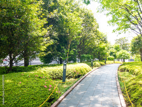 緑のある歩道