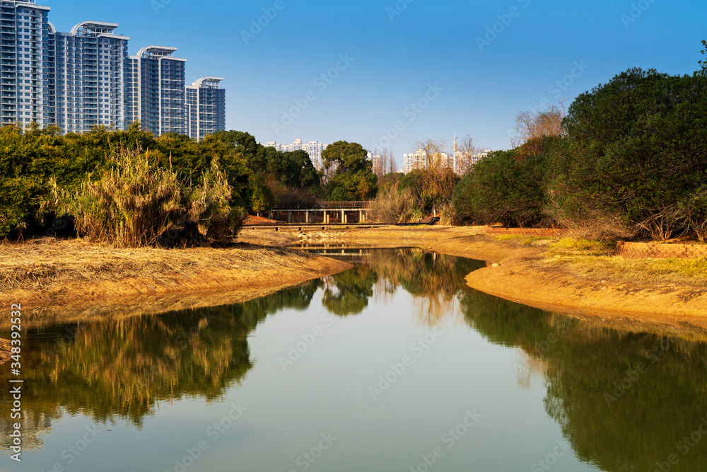 Beautiful forest lake in the autumn day Beautiful forest lake in the autumn day