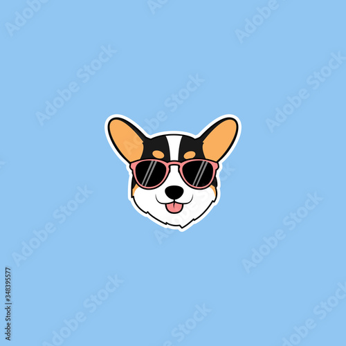  Cute corgi tricolor dog face with sunglasses cartoon, vector illustration