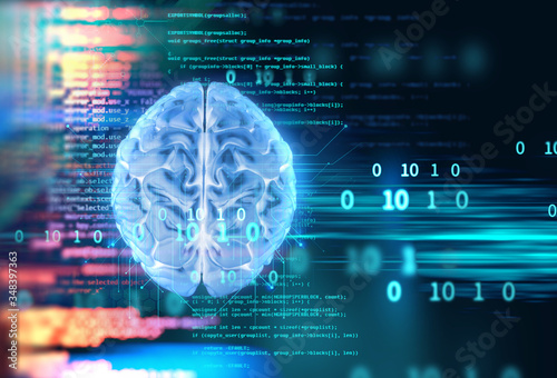 3d rendering of human  brain on programming language background