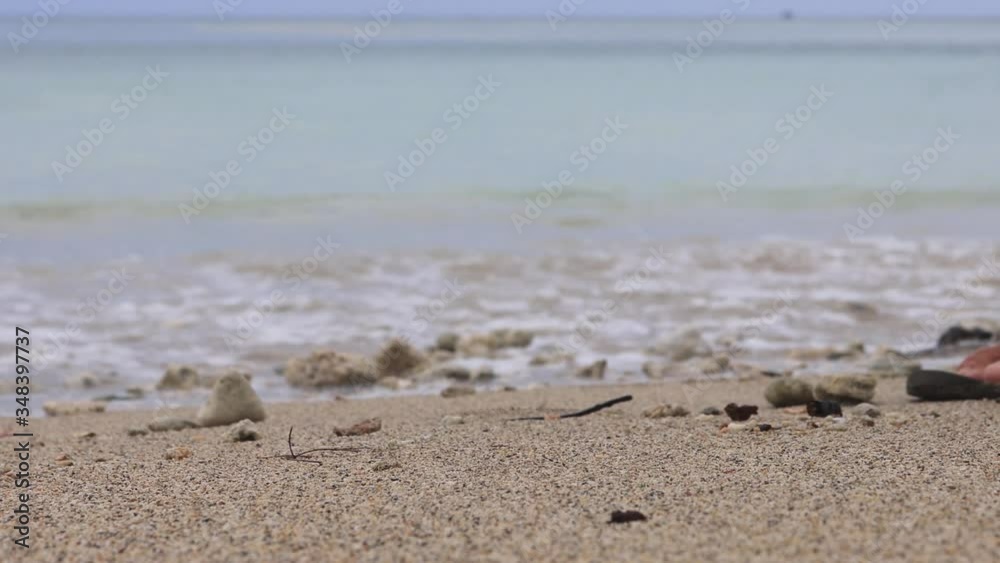 Picking up plastic bottle which pollutes beach Picking up plastic bottle which pollutes beach